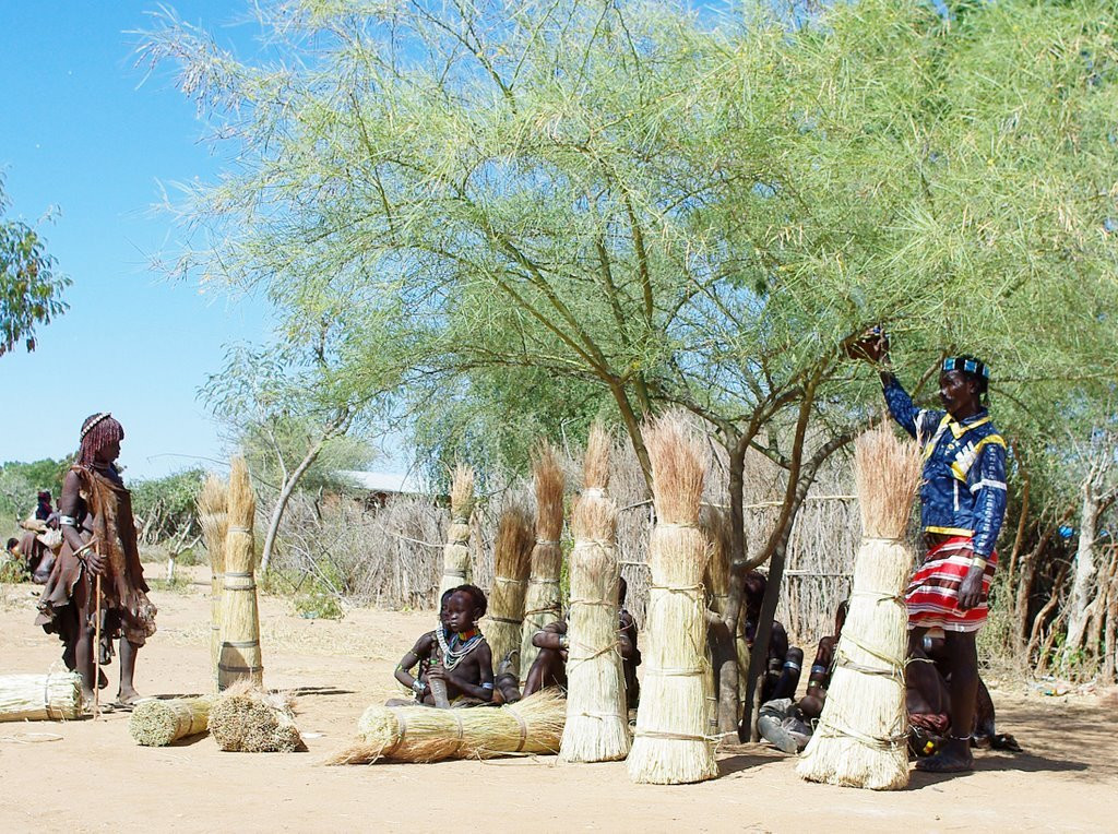 Местное племя. Эфиопия – фотографии Эфиопии