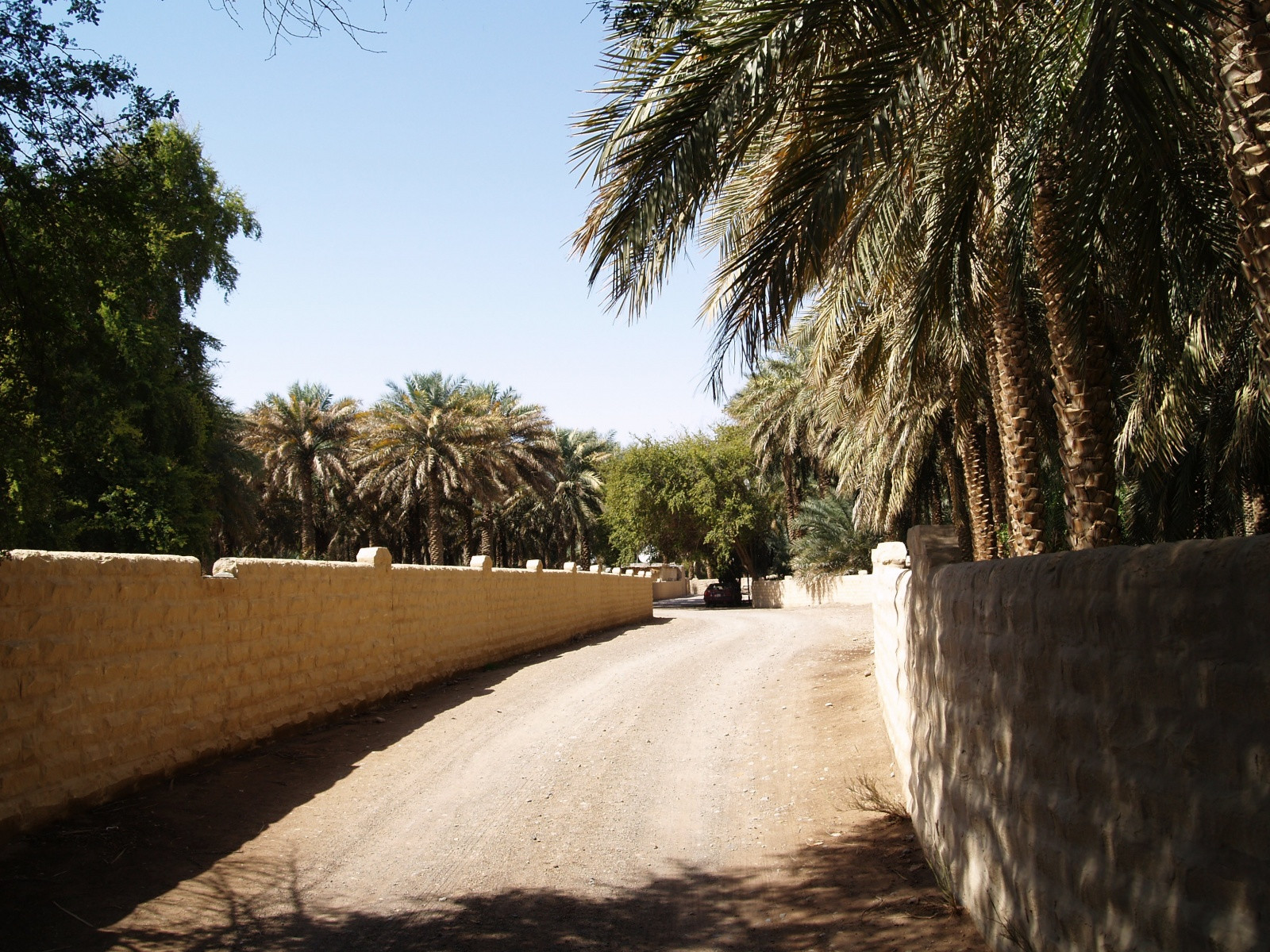 Улицы оазиса в Аль-Аине. Фото 1 – фотографии ОАЭ