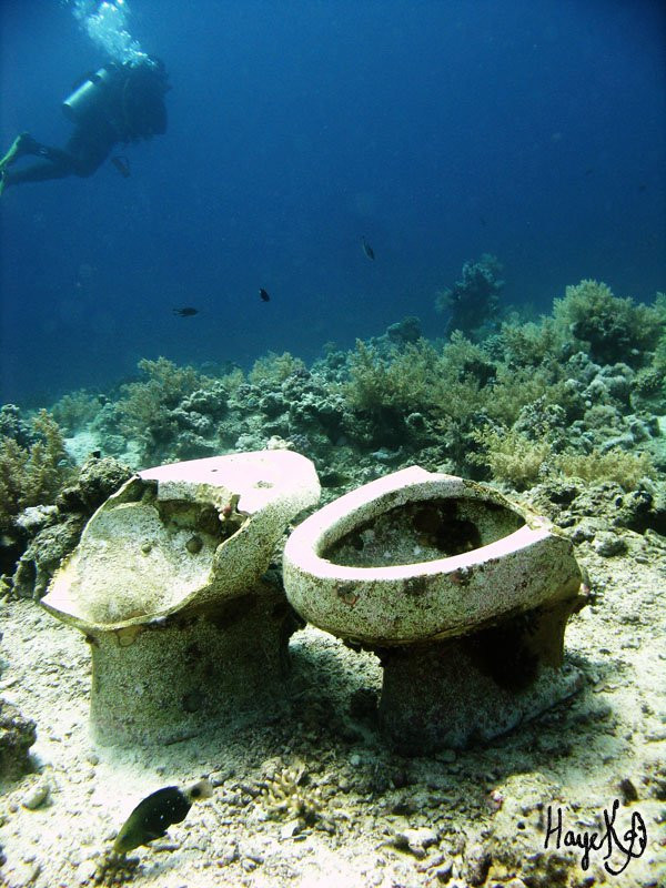 Египет, фото № 611 – фотографии Египта