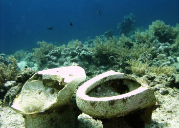 Египет, фото № 611 – фотографии Египта