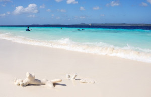 Клейн Бонайре остров, Бонайре остров, Карибские Нидерланды, фото № 76722 – фотографии Карибских Нидерландов