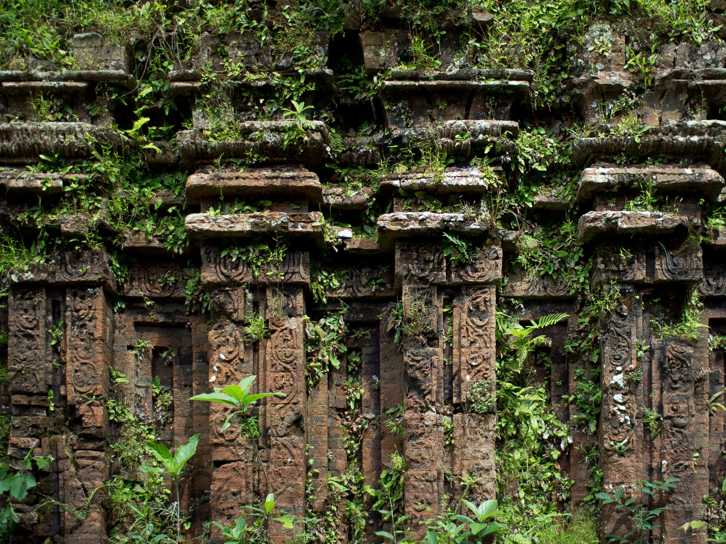 Храмовый комплекс Мишон 4 – фотографии Вьетнама