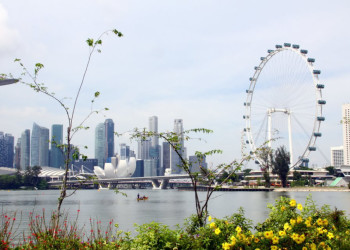 Колесо обозрения Singapore Flyer – фотографии Сингапура