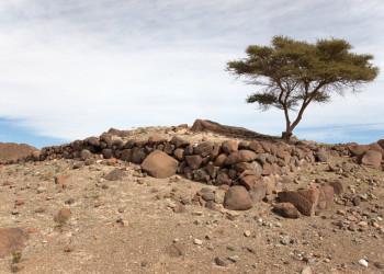 Оман, фото № 5232 – фотографии Омана