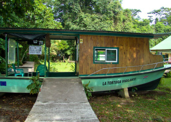 Тортугеро Национальный парк, Лимон провинция, Коста-Рика, фото № 40359 – фотографии Коста-Рики