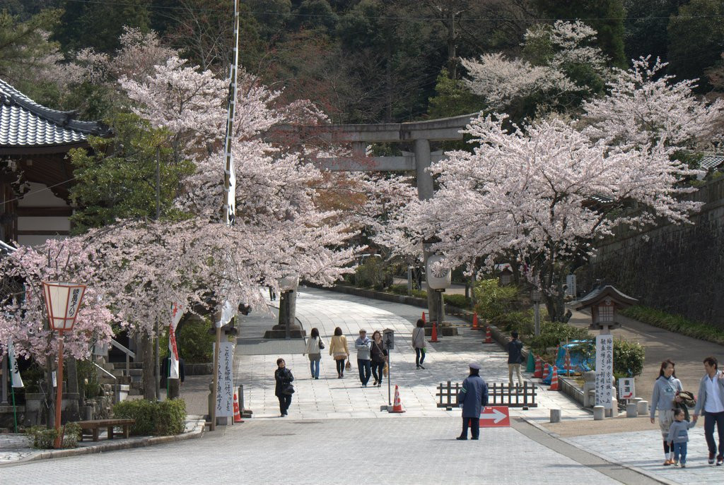 Гифу, Тюбу регион, Япония, фото № 71953 – фотографии Японии