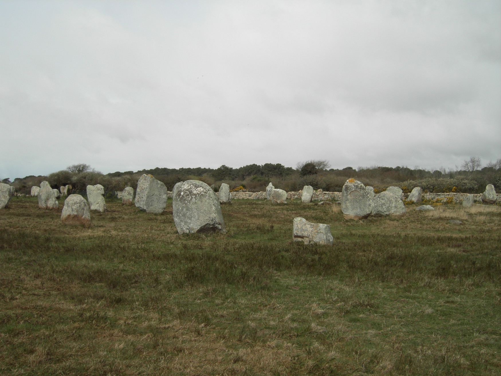 Природа в Карнаке, Франция. Фото 4 – фотографии Франции