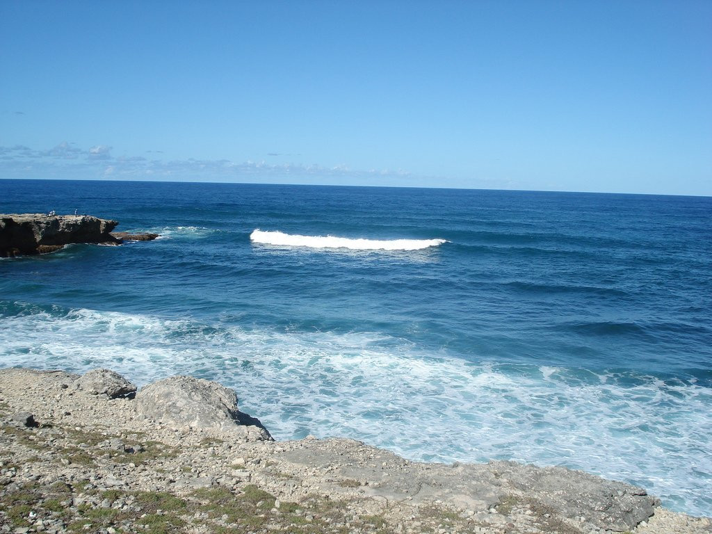 Морское побережье Барбадос на севере страны – фотографии Барбадоса