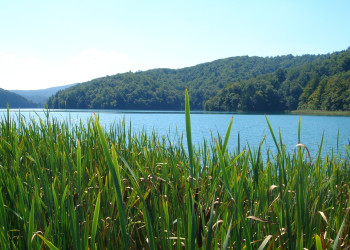 Плитвицкое озеро, Хорватия. Фото 13 – фотографии Хорватии
