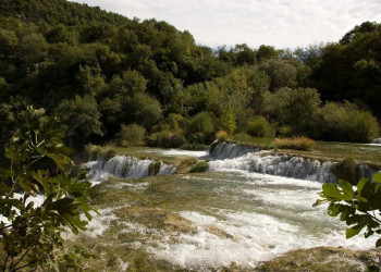 Природа в Крка, Хорватия. Фото 9 – фотографии Хорватии