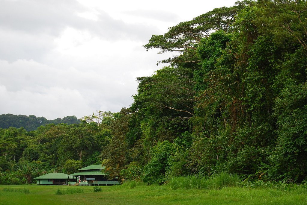 Корковадо Национальный Парк, Пунтаренас провинция, Коста-Рика, фото № 40506 – фотографии Коста-Рики