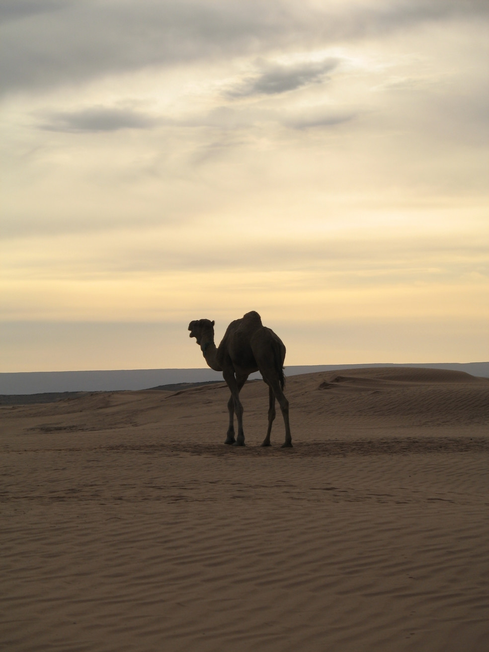 Марокко, фото № 51 – фотографии Марокко