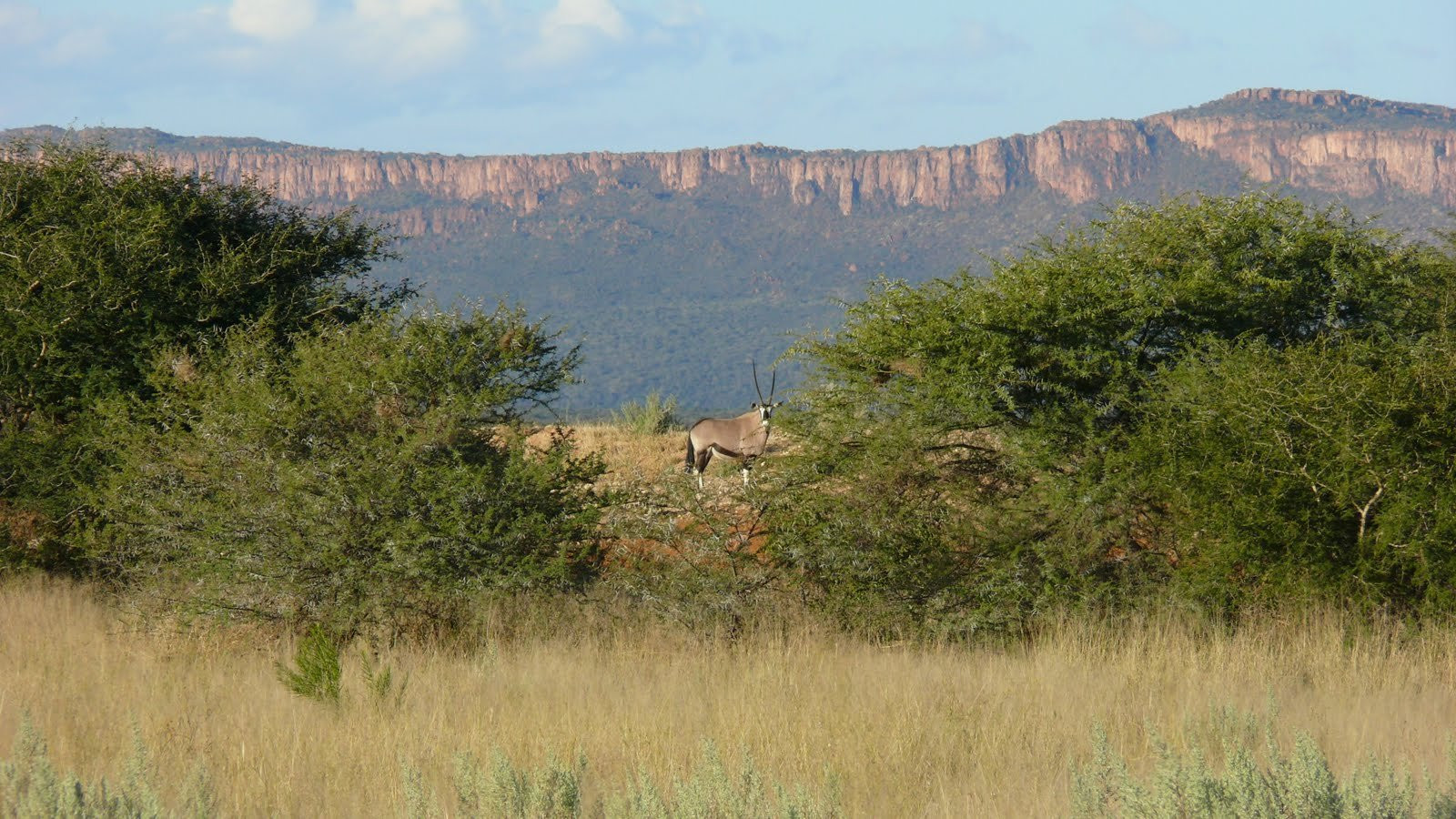 Намибия, фото № 5596 – фотографии Намибии