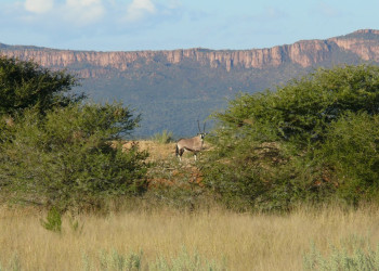 Намибия, фото № 5596 – фотографии Намибии