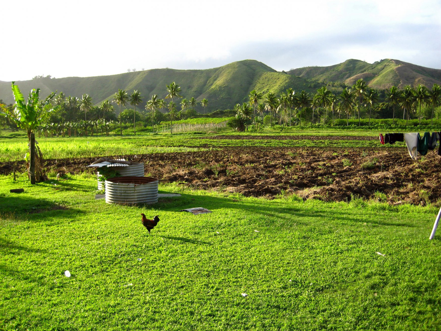 Нади, Вити Леву остров, Вити Леву группа островов, Фиджи, фото № 49579 – фотографии Фиджи