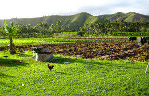 Нади, Вити Леву остров, Вити Леву группа островов, Фиджи, фото № 49579 – фотографии Фиджи