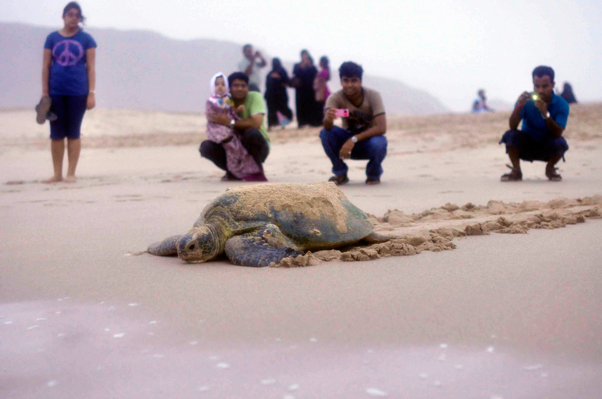 Сур, Оман, фото № 78170 – фотографии Омана