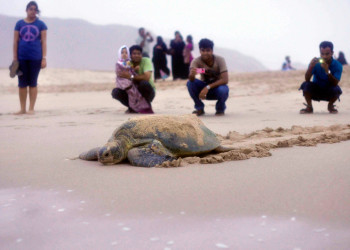 Сур, Оман, фото № 78170 – фотографии Омана