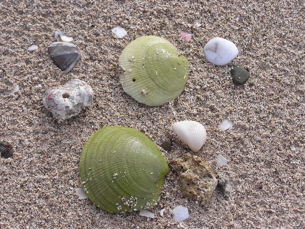 Доминикана, фото № 428 – фотографии Доминиканы