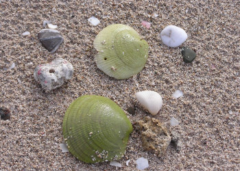 Доминикана, фото № 428 – фотографии Доминиканы