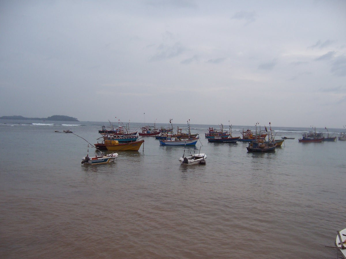 Велигама, Шри-Ланка, фото № 50837 – фотографии Шри-Ланки