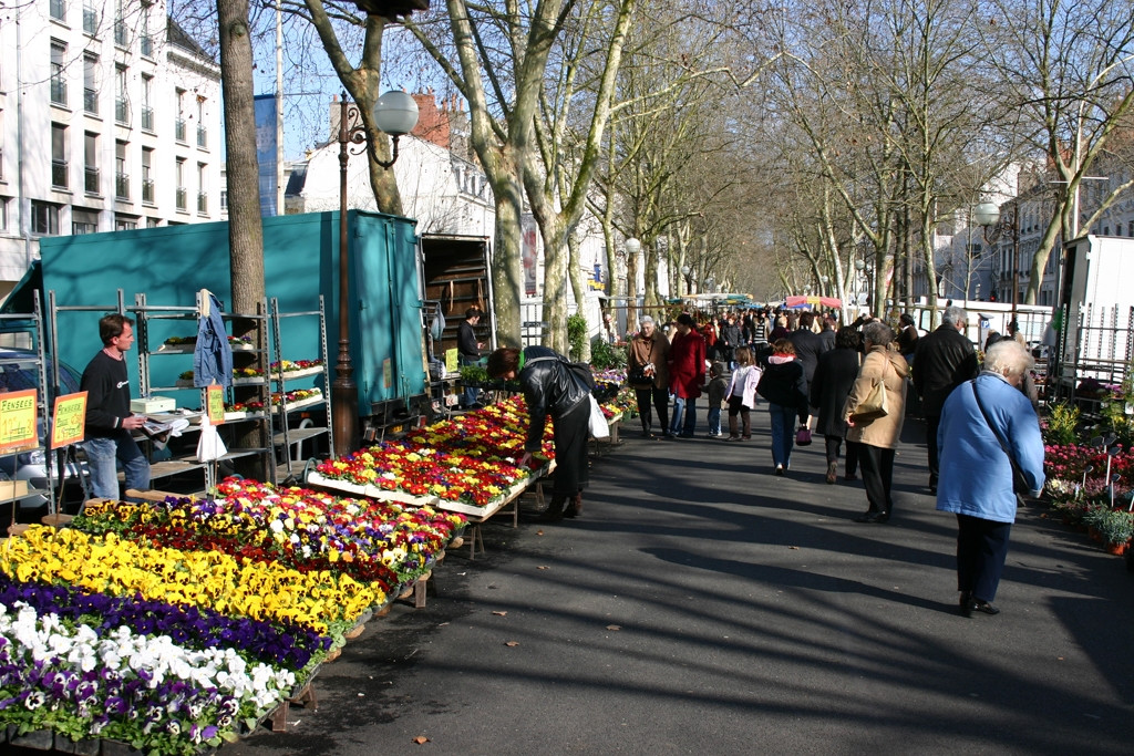 Рынок в Туре, Франция – фотографии Франции