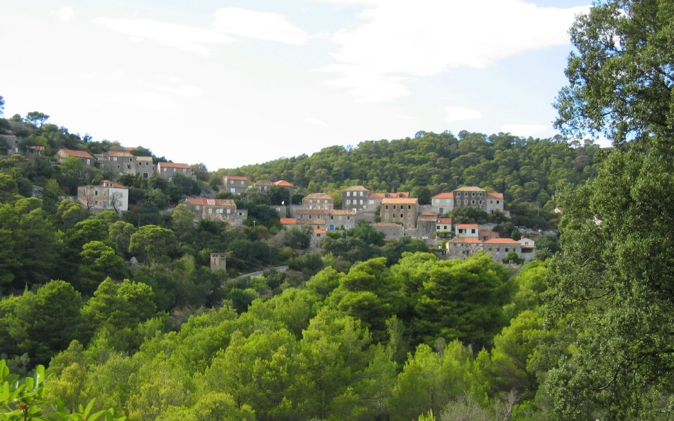 Природа на острове Млет, Хорватия. Фото 2 – фотографии Хорватии