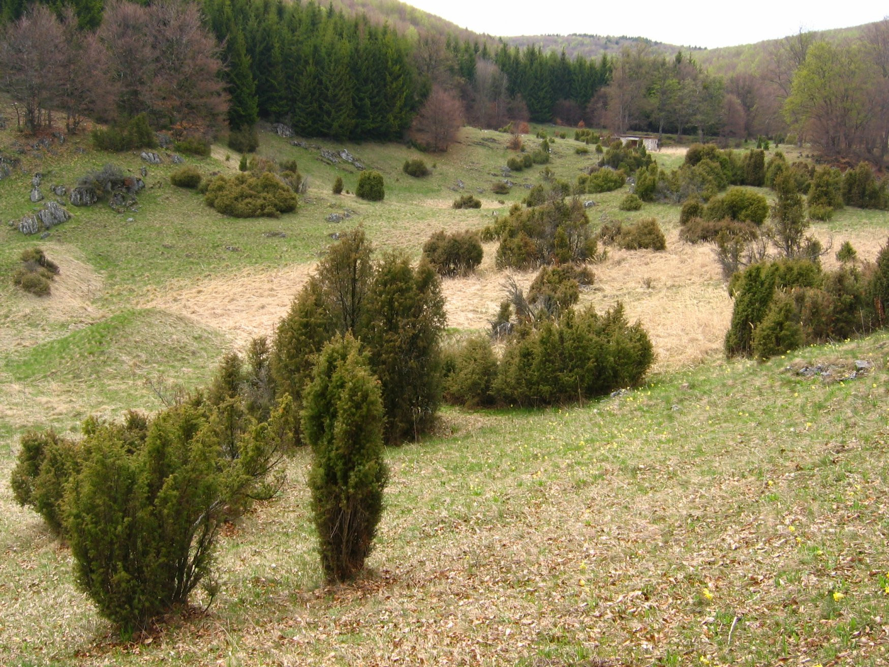 Бюкк Национальный Парк, Венгрия, фото № 70076 – фотографии Венгрии