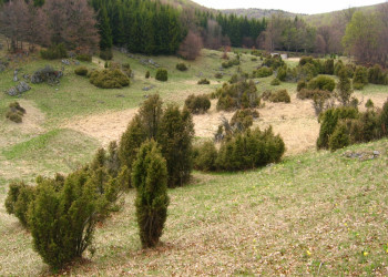 Бюкк Национальный Парк, Венгрия, фото № 70076 – фотографии Венгрии