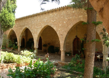 Айя-Напа, Кипр, фото № 37504 – фотографии Кипра