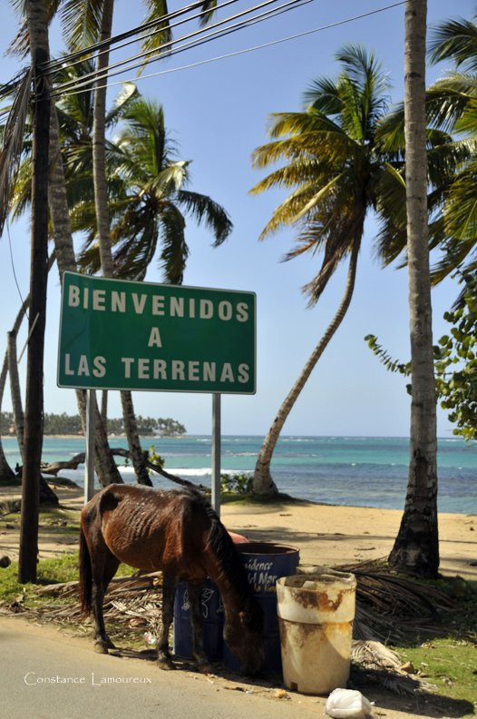 Самана, Доминикана, фото № 30613 – фотографии Доминиканы