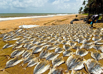 Шри-Ланка, фото № 1131 – фотографии Шри-Ланки