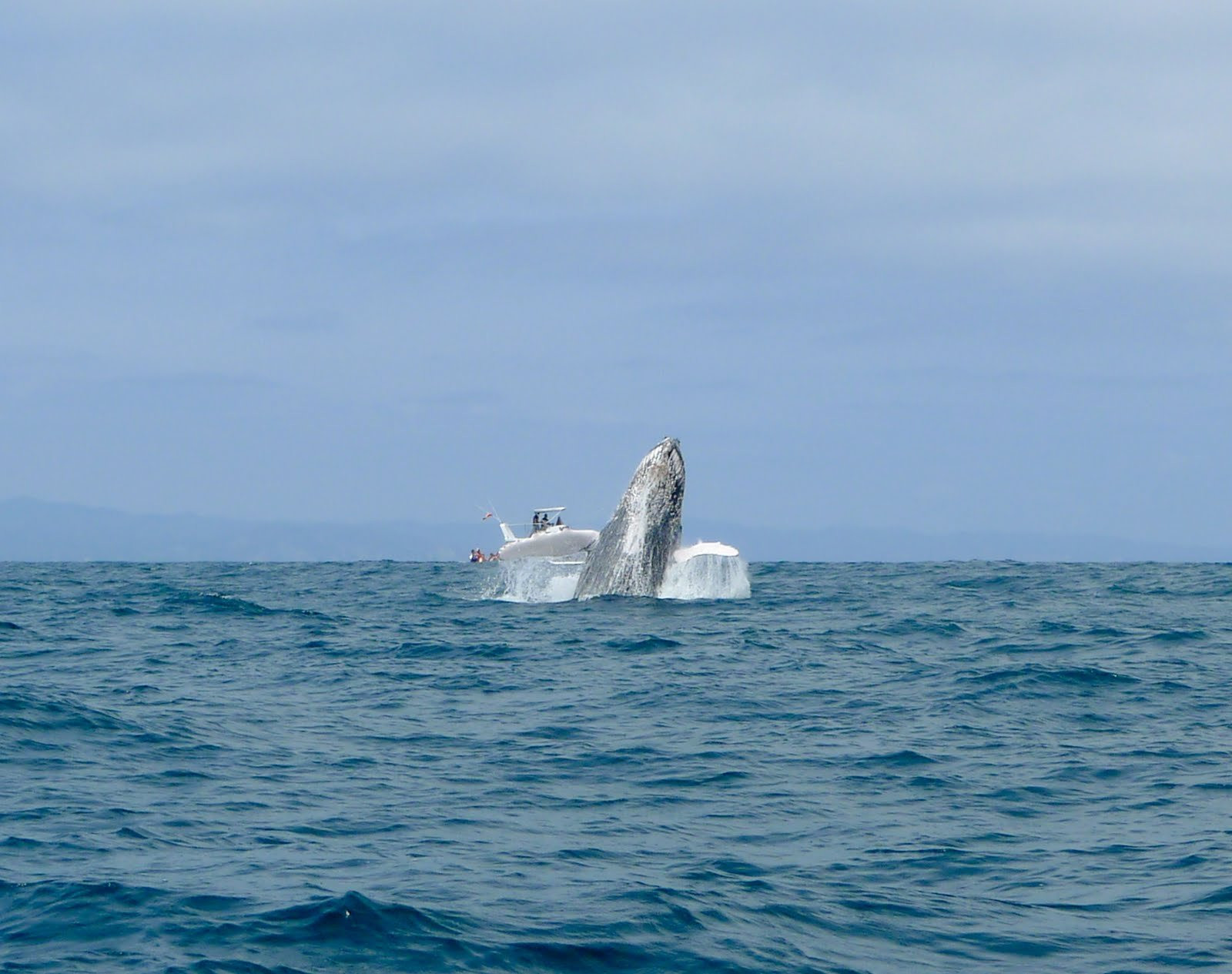 Галапагосские острова, Эквадор, фото № 68235 – фотографии Эквадора