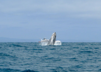 Галапагосские острова, Эквадор, фото № 68235 – фотографии Эквадора