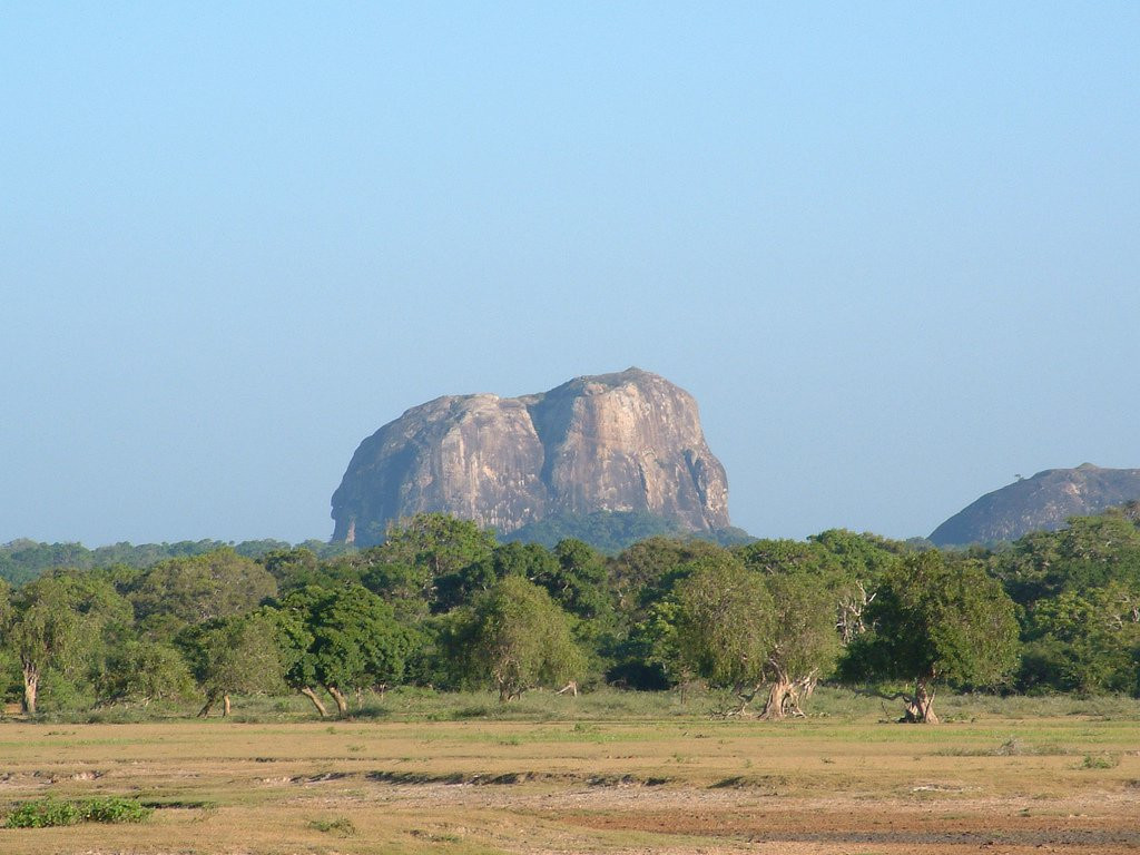 Яла Национальный Парк, Шри-Ланка, фото № 52681 – фотографии Шри-Ланки