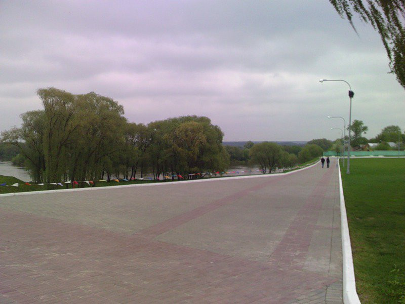 Дорога в Муроме, Россия – фотографии России