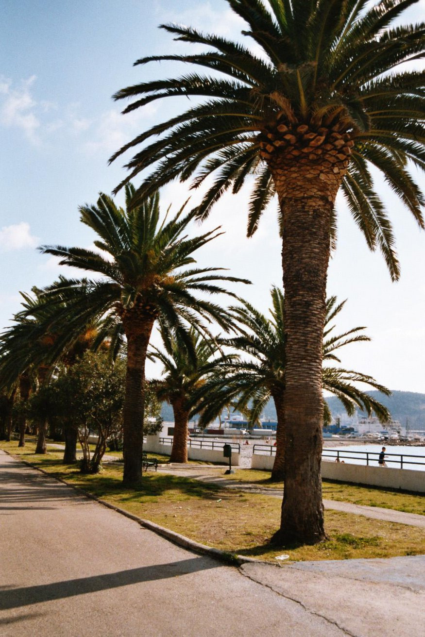 Набережная в Бар, Черногория. Фото 1 – фотографии Черногории