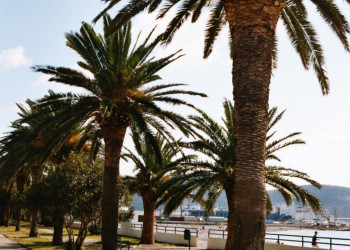 Набережная в Бар, Черногория. Фото 1 – фотографии Черногории