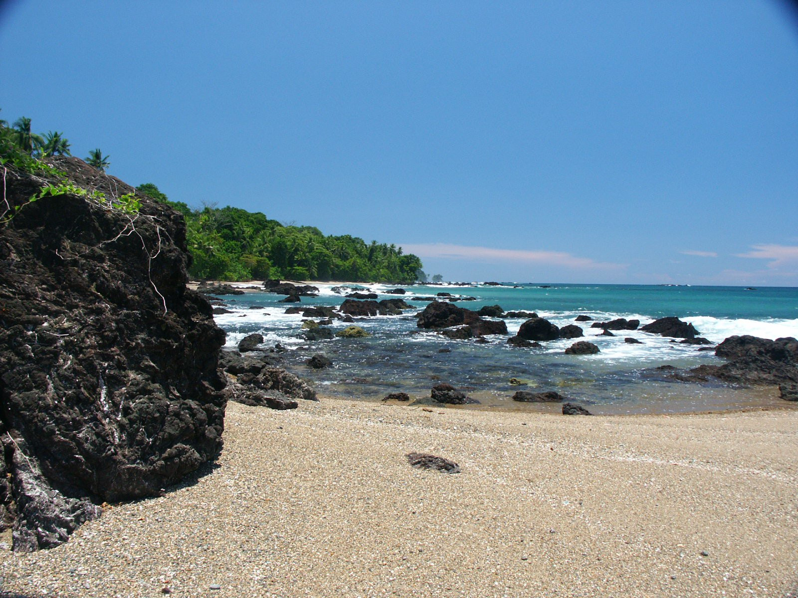 Корковадо Национальный Парк, Пунтаренас провинция, Коста-Рика, фото № 40538 – фотографии Коста-Рики