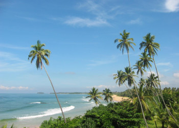 Бентота, Шри-Ланка, фото № 50672 – фотографии Шри-Ланки