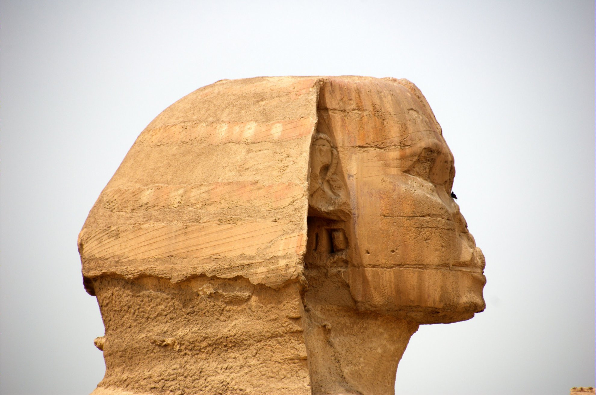 Большой сфинкс – фотографии Египта