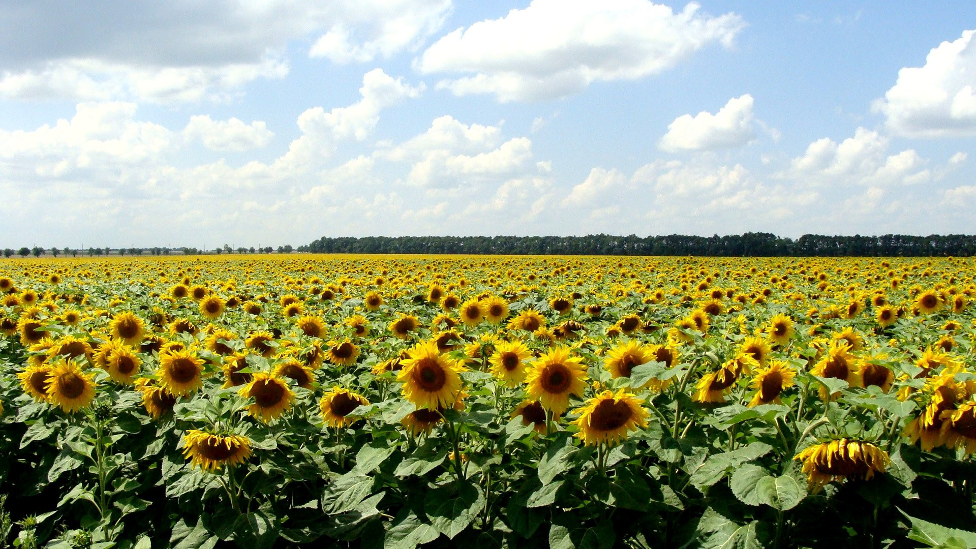 Балчик, Болгария, фото № 69283 – фотографии Болгарии