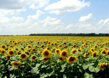 Балчик, Болгария, фото № 69283 – фотографии Болгарии