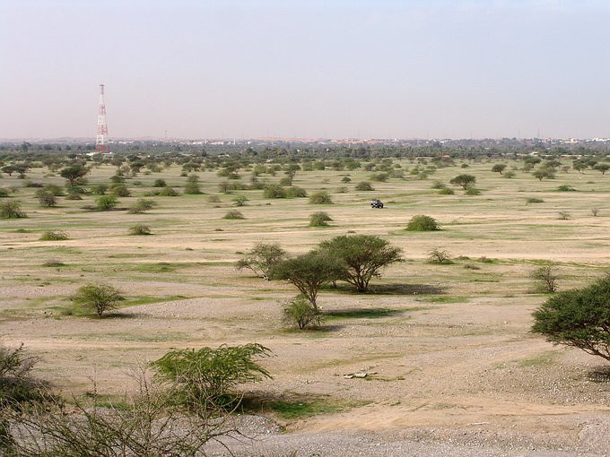 Рас-аль-Хайма, ОАЭ, фото № 61069 – фотографии ОАЭ