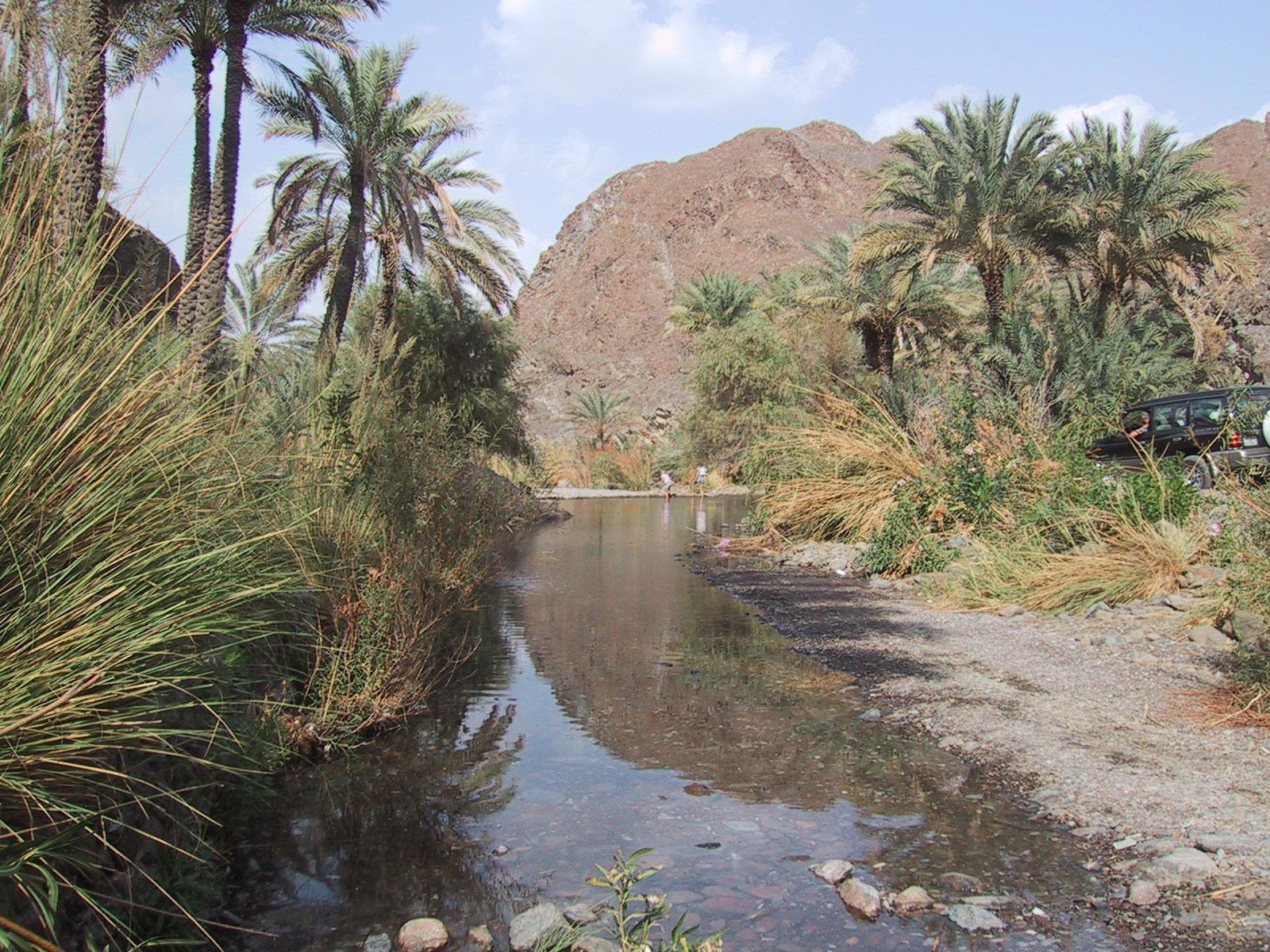 Рас-аль-Хайма, ОАЭ, фото № 61101 – фотографии ОАЭ