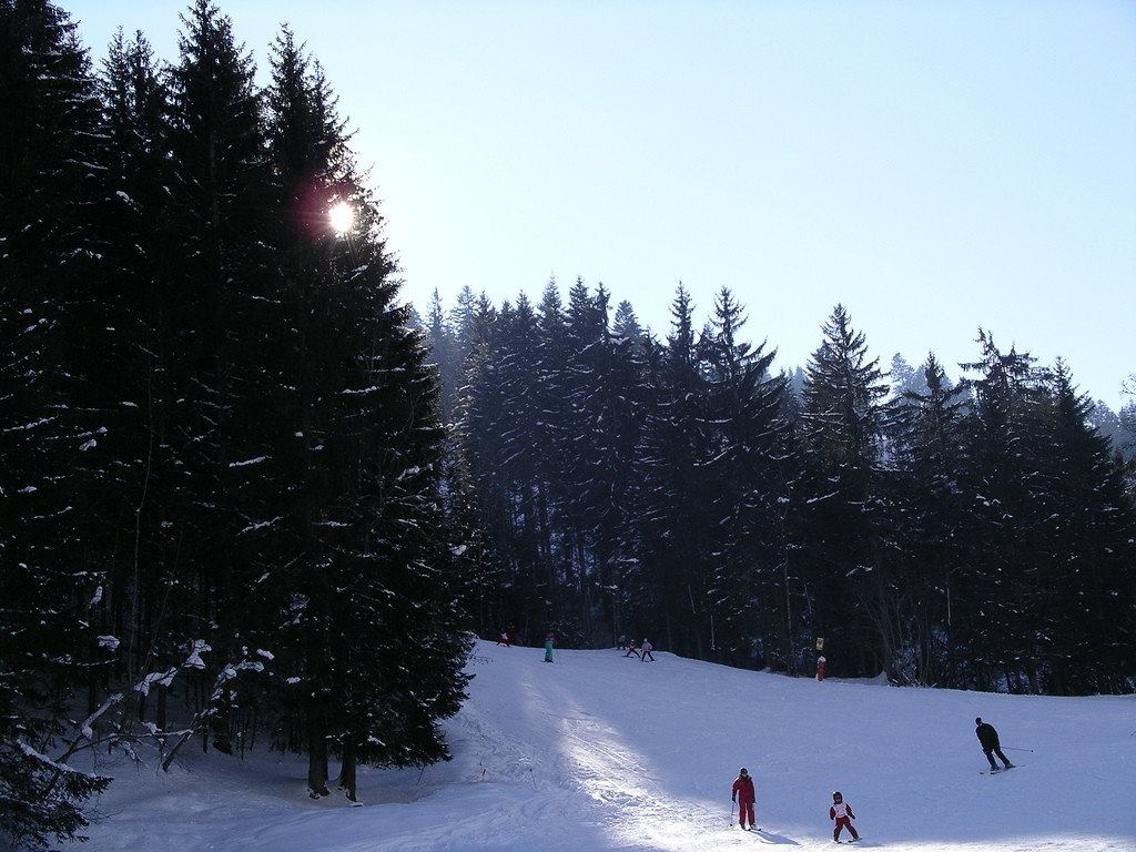 Природа в Ла-Шапель-д'Абонданс, Франция. Фото 5 – фотографии Франции