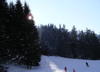 Природа в Ла-Шапель-д'Абонданс, Франция. Фото 5 – фотографии Франции