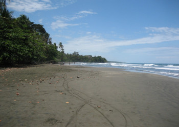 Кауита, Лимон провинция, Коста-Рика, фото № 40063 – фотографии Коста-Рики