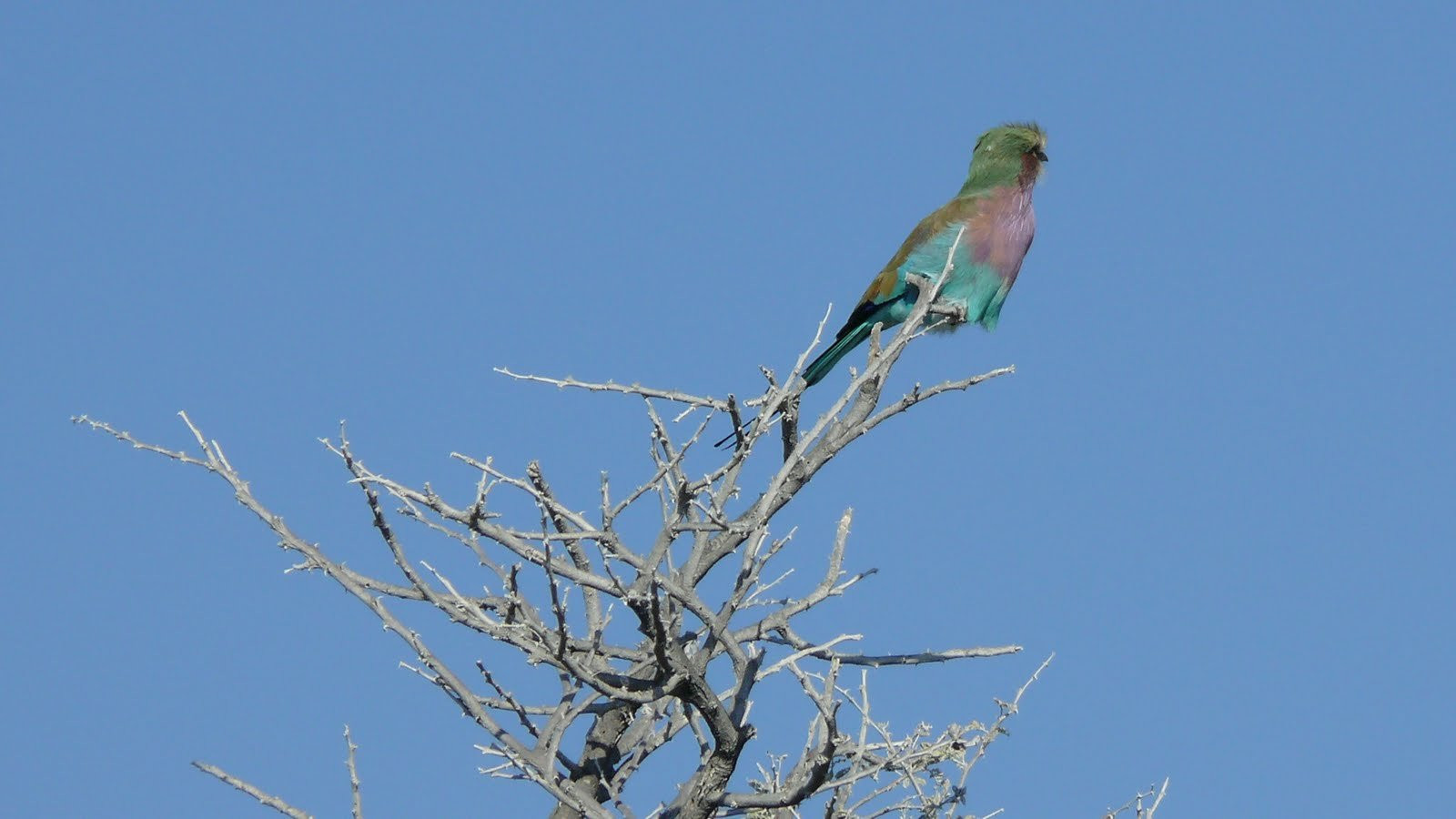 Намибия, фото № 5589 – фотографии Намибии