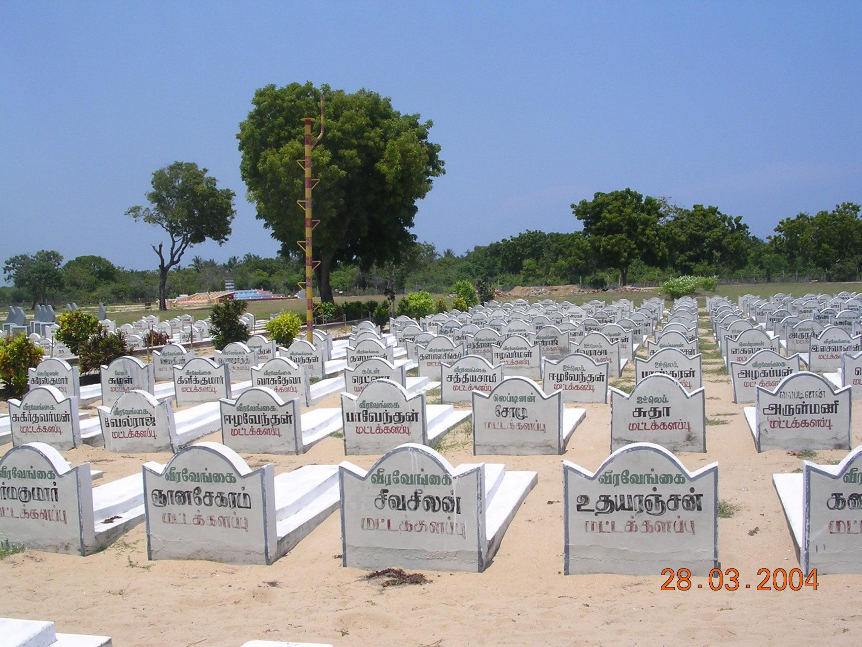 Шри-Ланка, фото № 1182 – фотографии Шри-Ланки